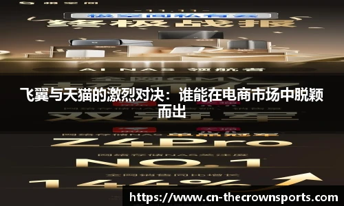 飞翼与天猫的激烈对决:谁能在电商市场中脱颖而出